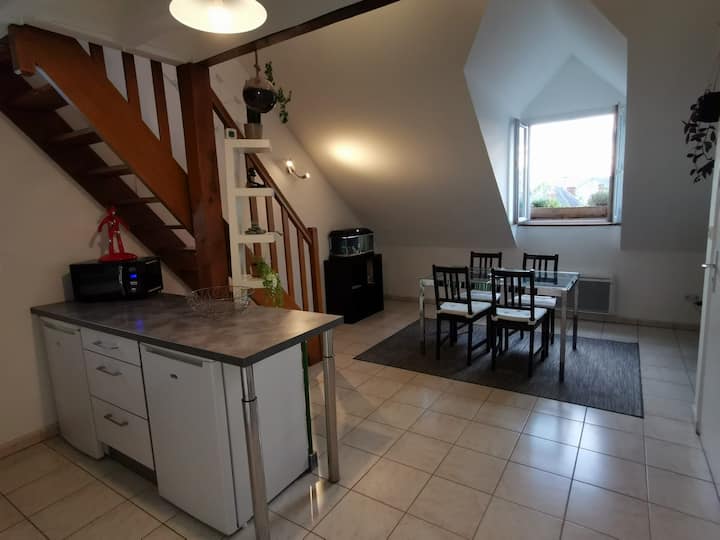Appartement Duplex - Tours