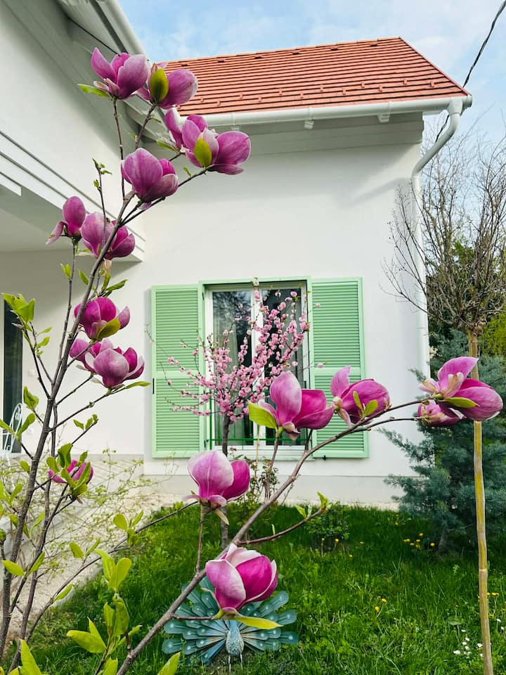 Villa Rosa Centre Balatonfüred - Tihany