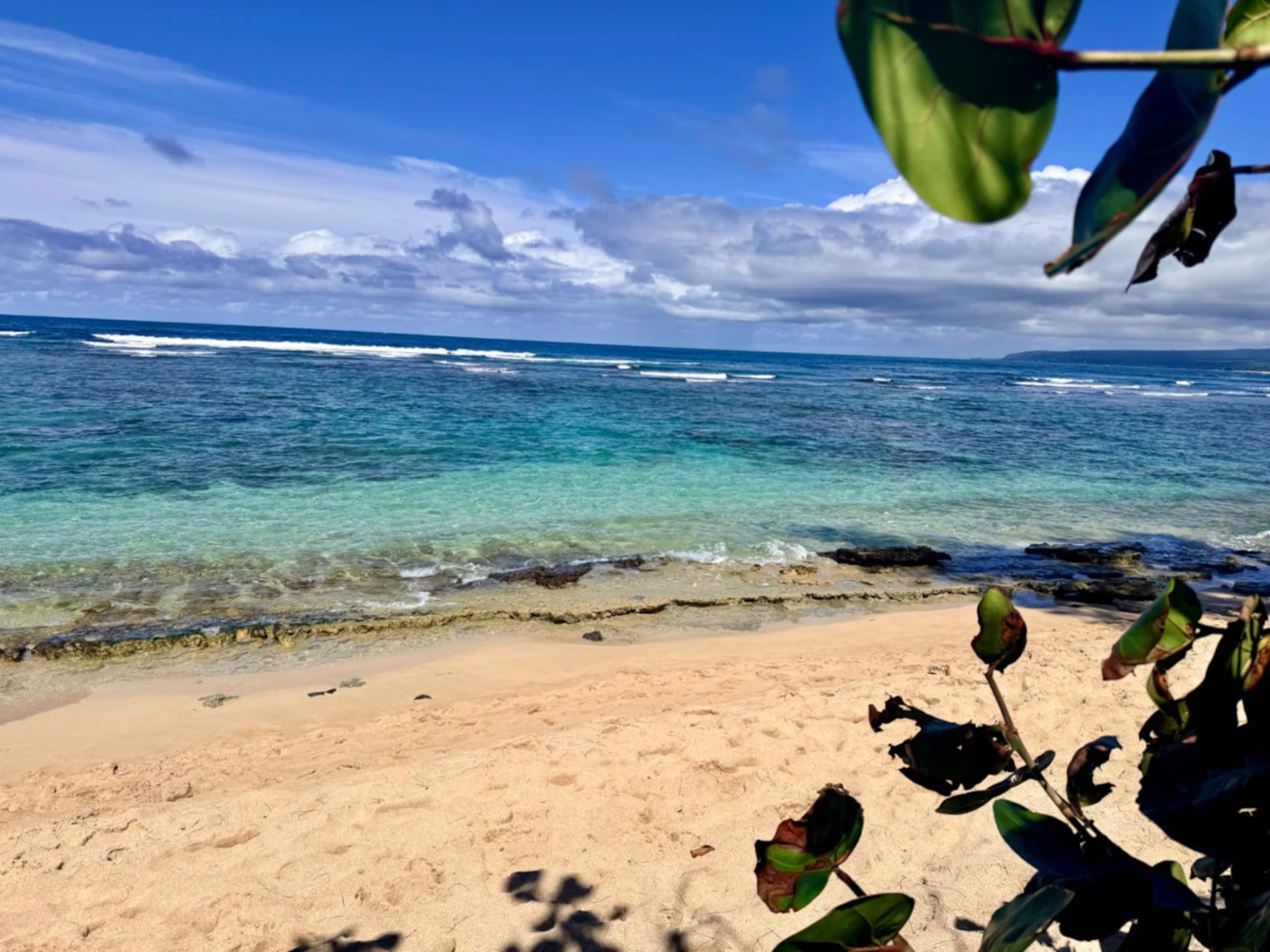 Blue Mango Secluded orchard + beach retreat - Photo 10