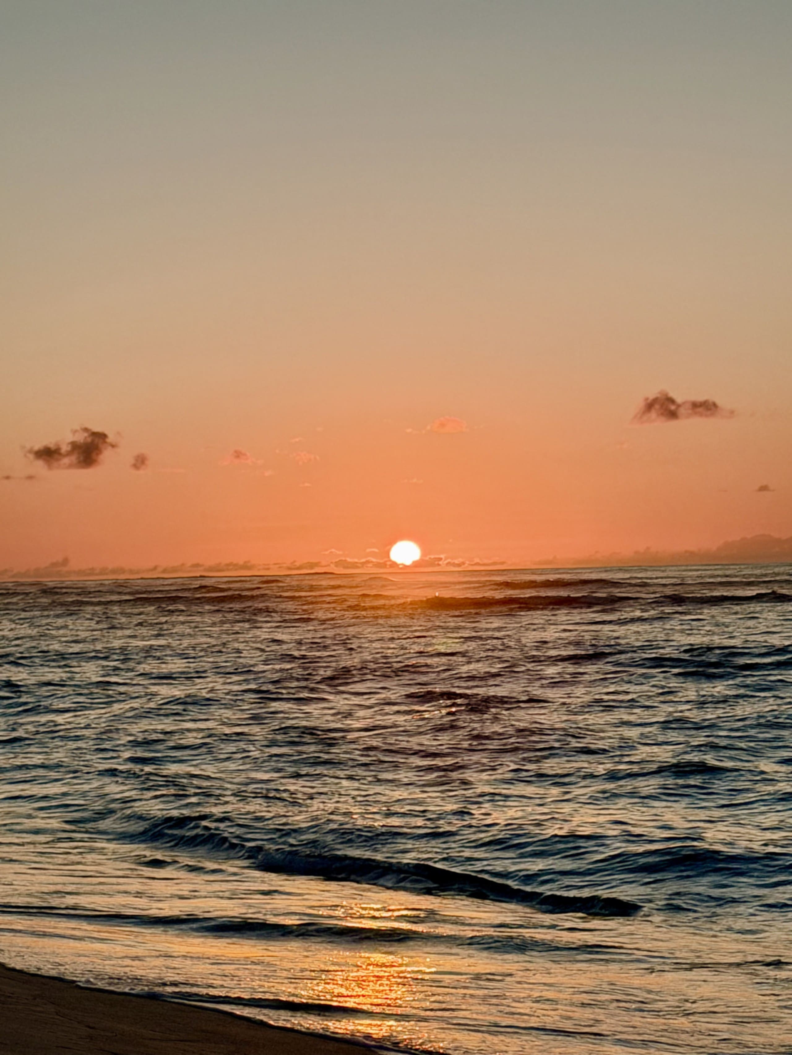 Blue Mango Secluded orchard + beach retreat - Photo 13