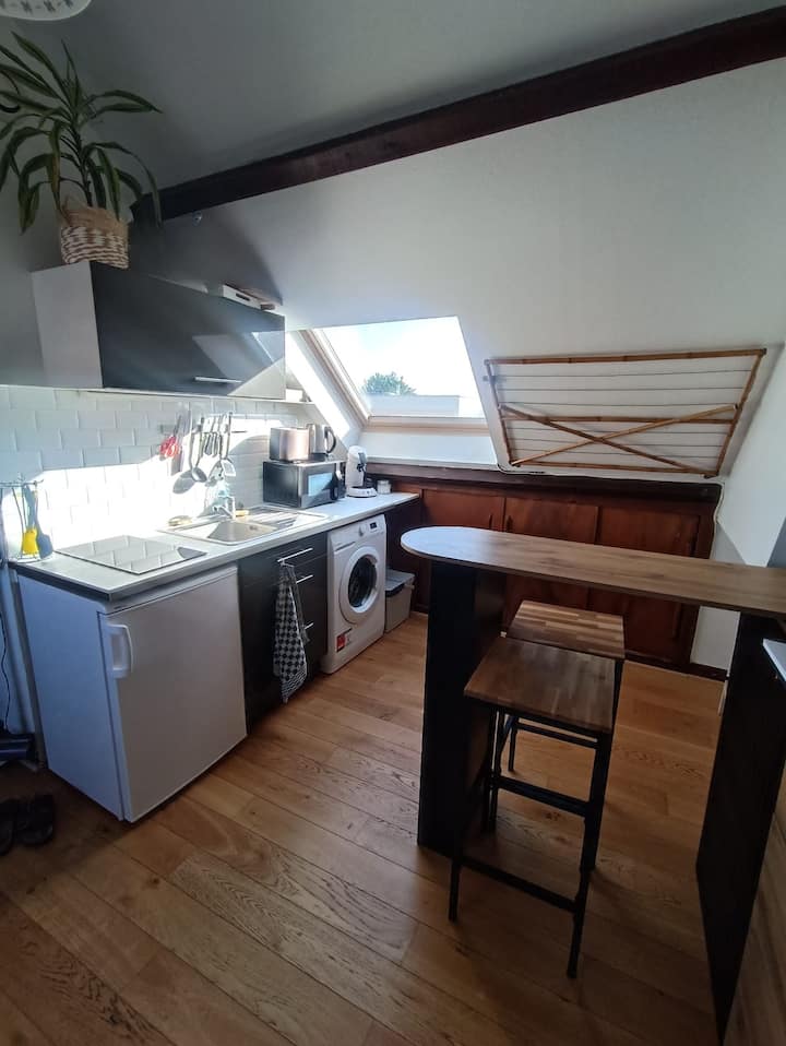 Studio Entièrement éQuipé Proche De La Dêule - Lille