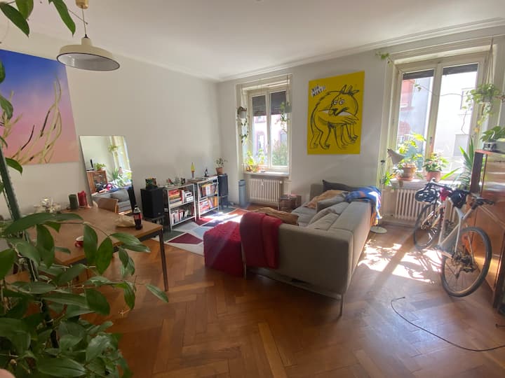 Gorgeous And Comfy, 5 Minutes From Art Basel - Basel