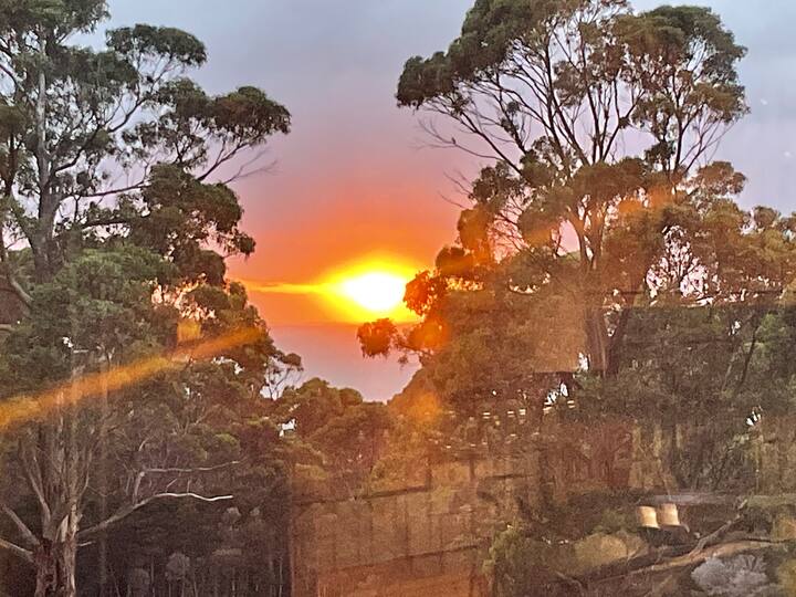 Bungalow - Partridge Farm - Flinders Island