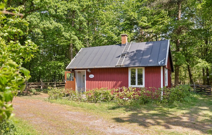 Beautiful Home In Sjöbo With Lake View - Sjöbo