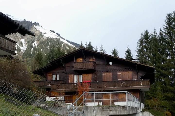 Chalet Waldchutz - Lenk