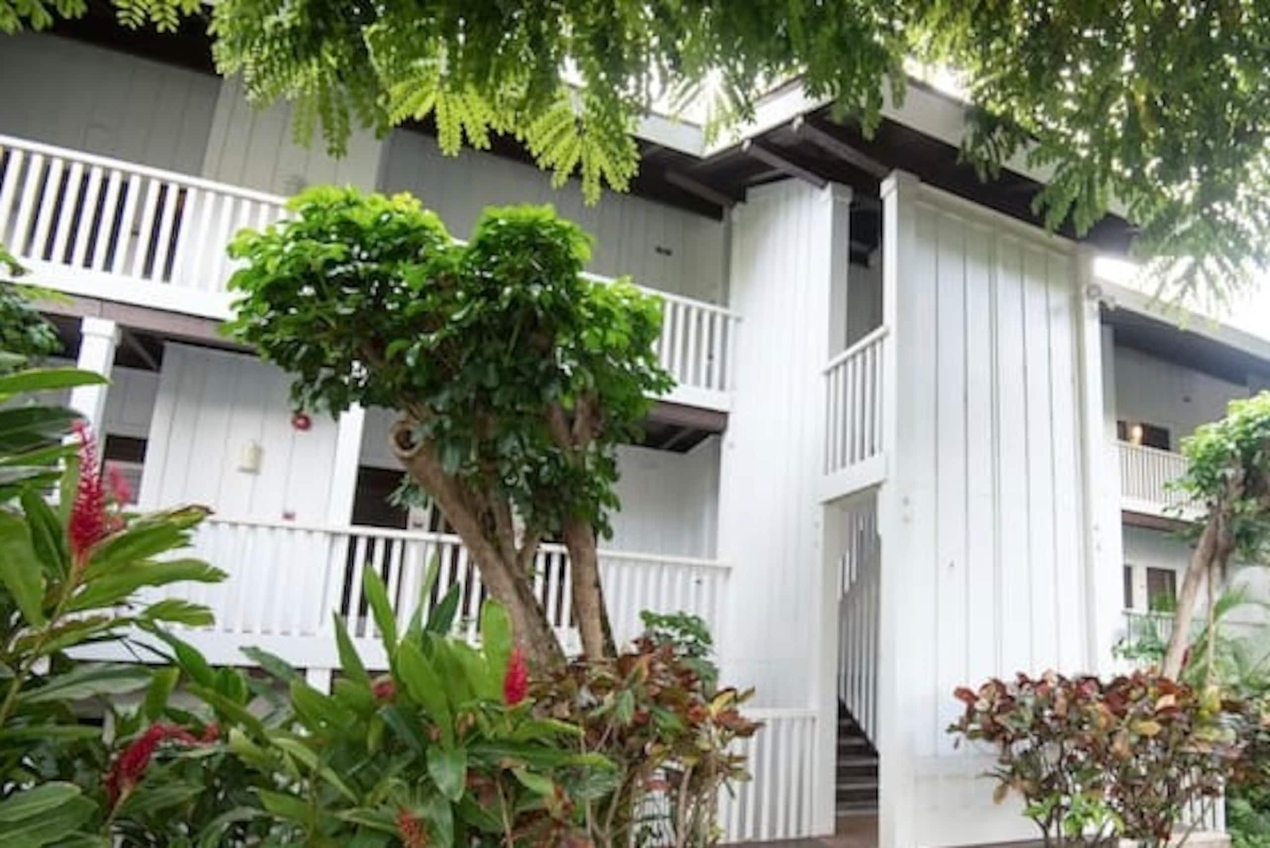 Home in Koloa · ★5.0 · 1 bedroom · 3 beds · 1 bath - Image 14