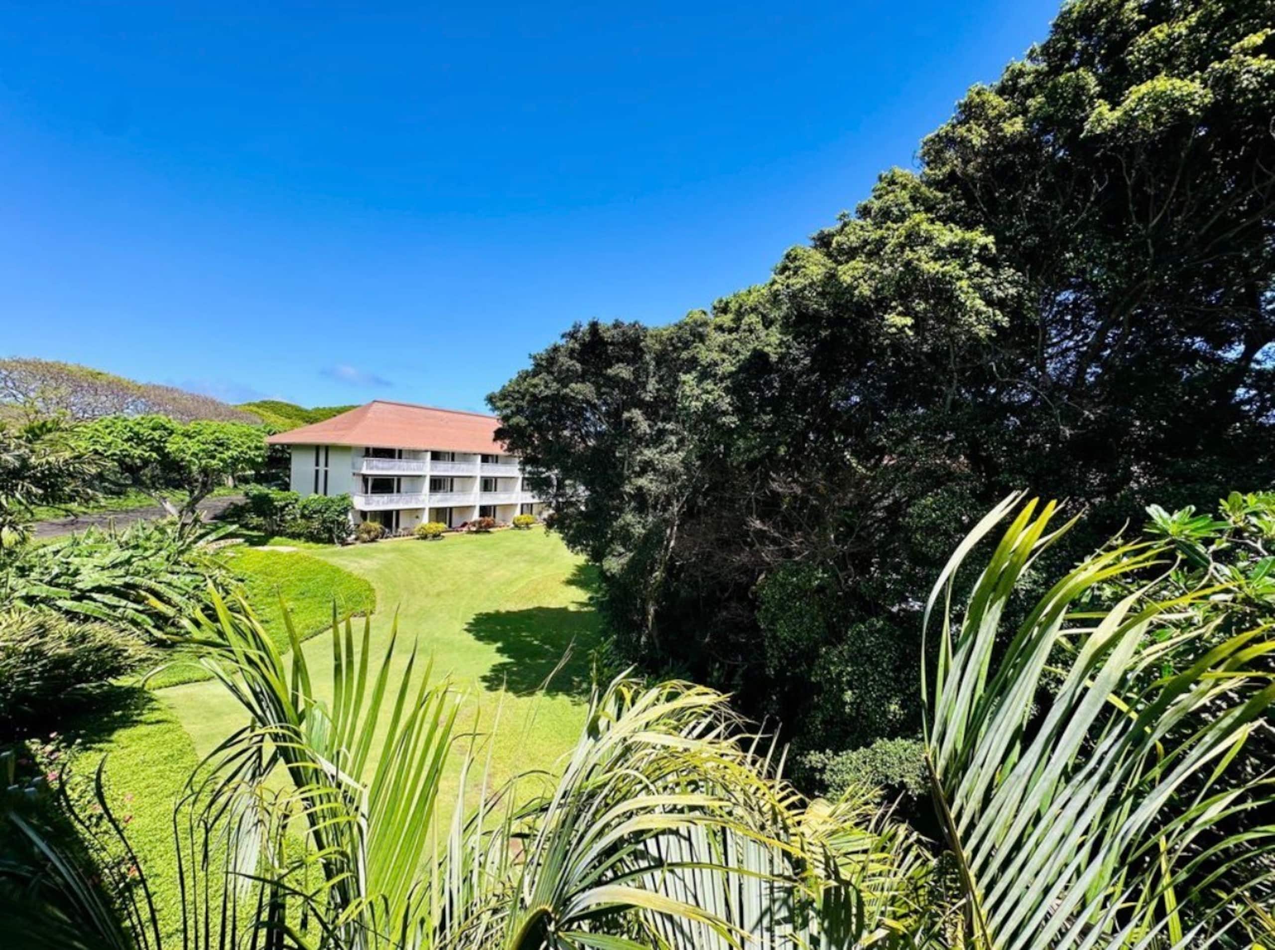 Home in Koloa · ★5.0 · 1 bedroom · 3 beds · 1 bath - Image 16