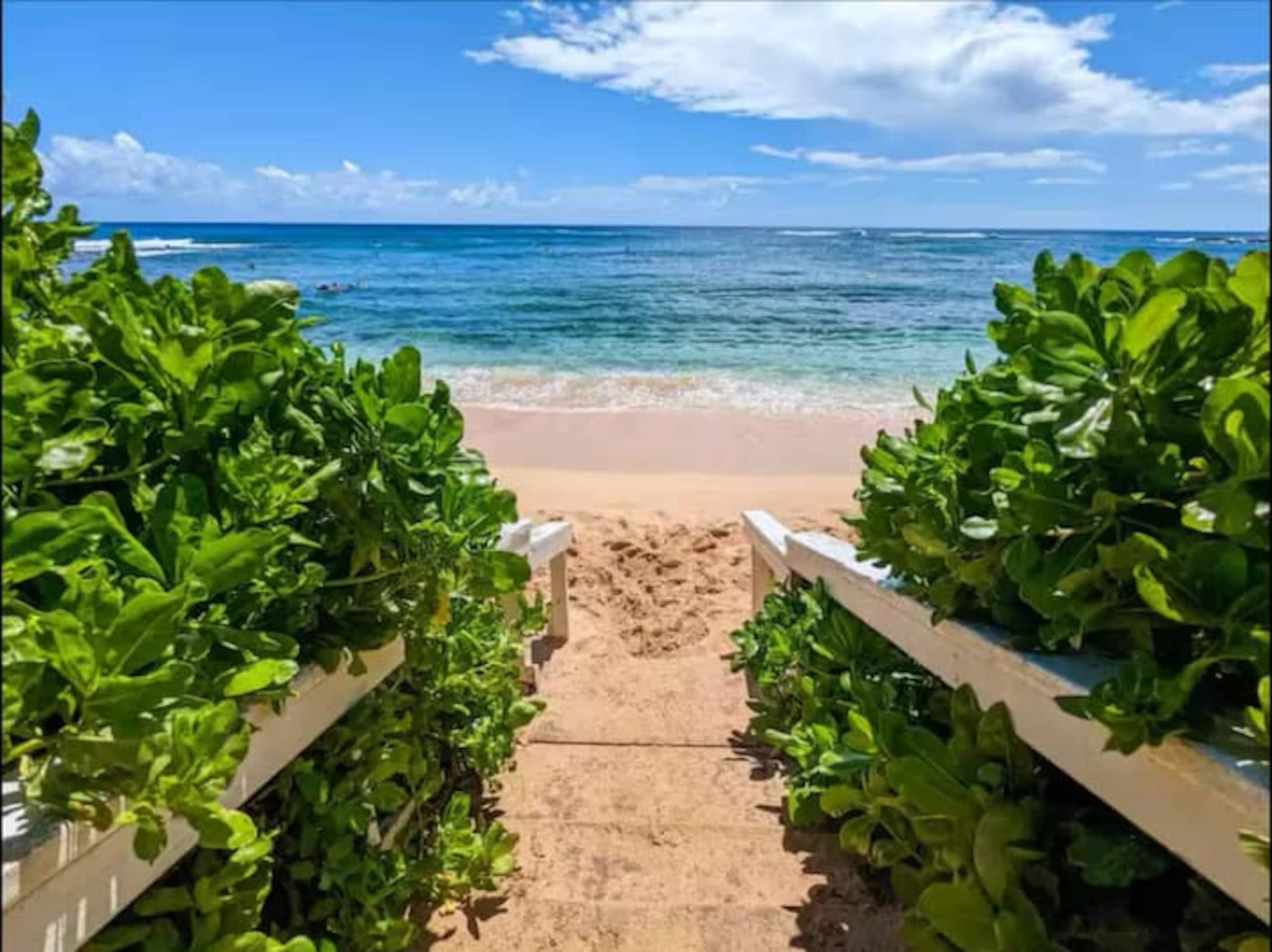 Home in Koloa · ★5.0 · 1 bedroom · 3 beds · 1 bath - Image 19