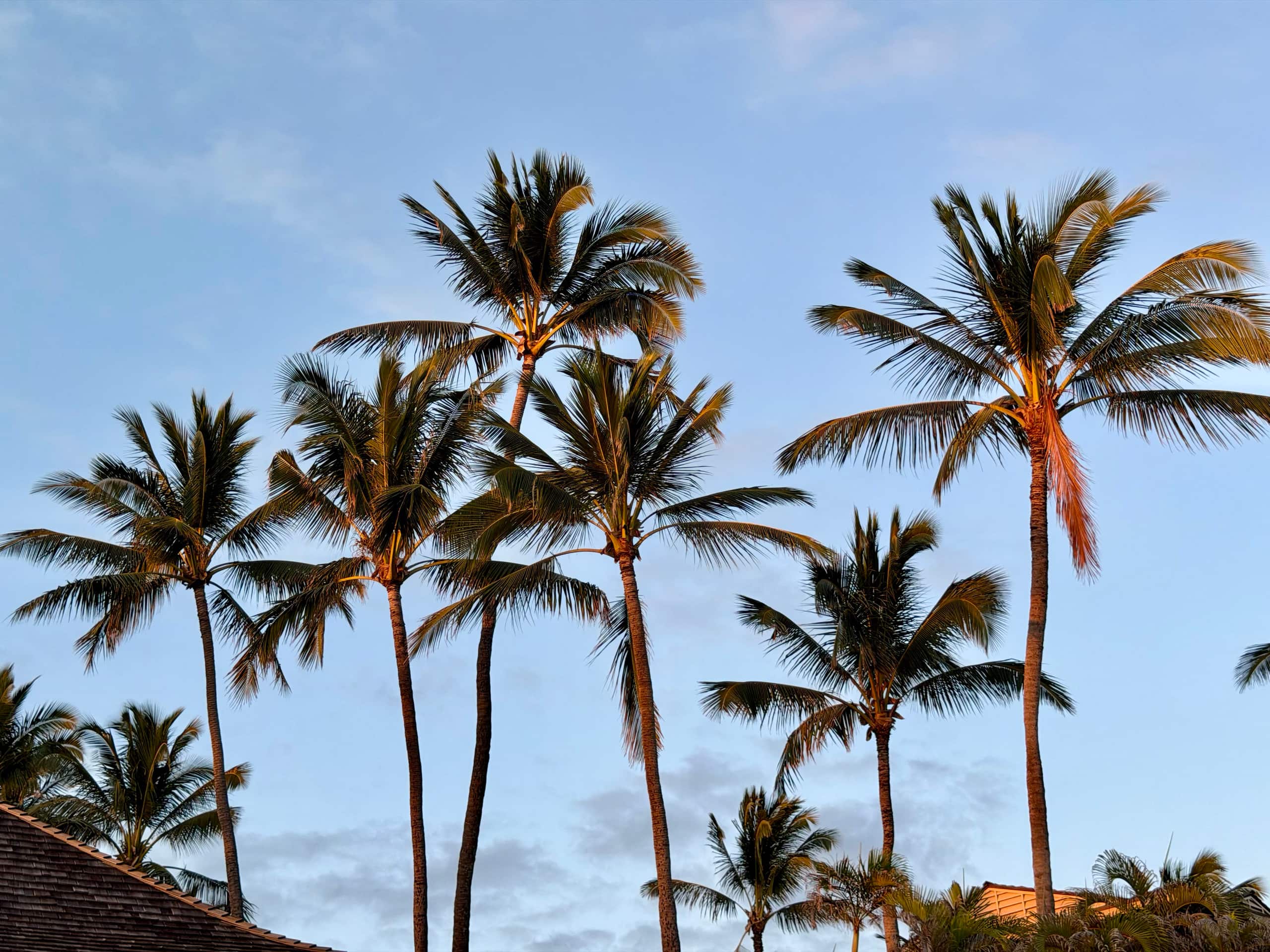 Home in Koloa · ★5.0 · 1 bedroom · 3 beds · 1 bath - Image 20