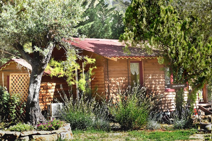 Chalet En Bois Tout Confort - Solliès-Pont