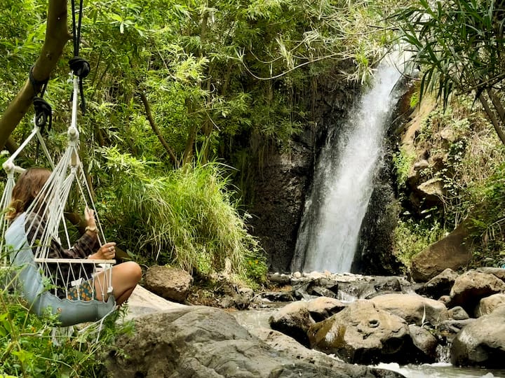 Cave Pools · Sauna · Waterfall · Wild Organic Farm - Madeira