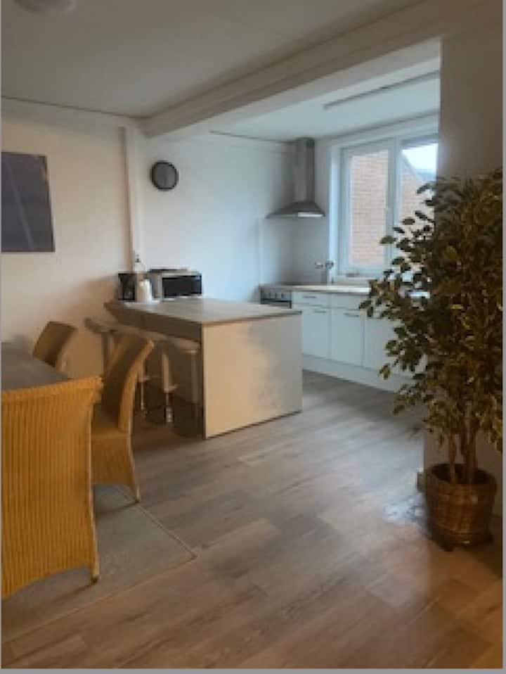 Sfeervol Appartement Met Terras In Hartje Breskens - Breskens