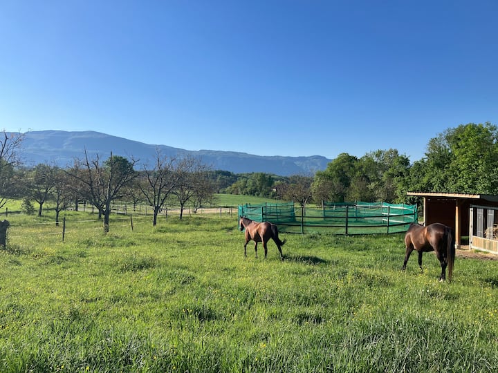 Séjour Ressourcement Avec Les Chevaux Ecurie Almae - Saint-Marcellin