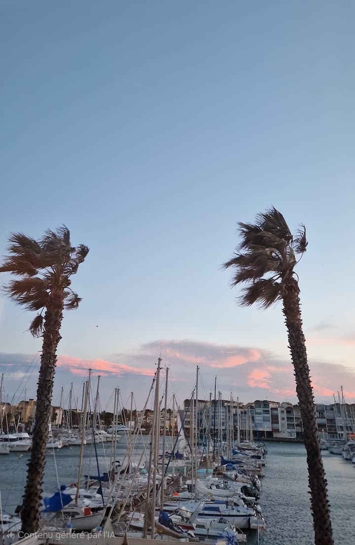 Vue Port Exceptionnelle
Studio Cabine Tout Confort - Gruissan