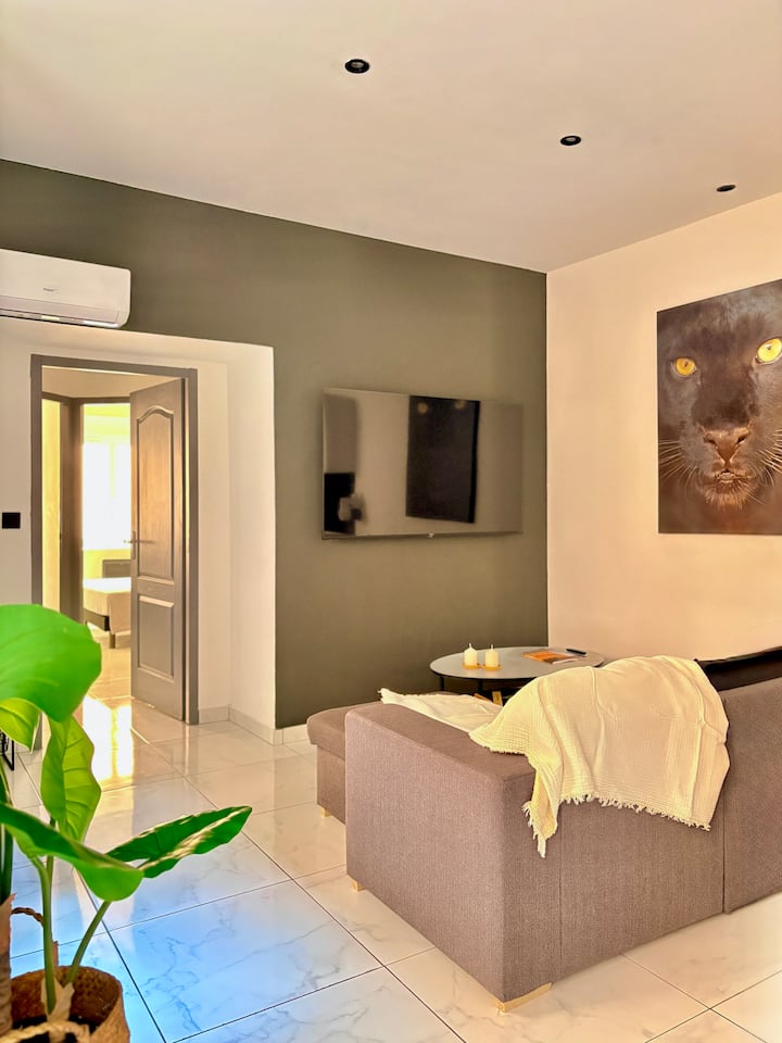 Appartement T3 Moderne & Climatisé En Plein Centre - ニーム