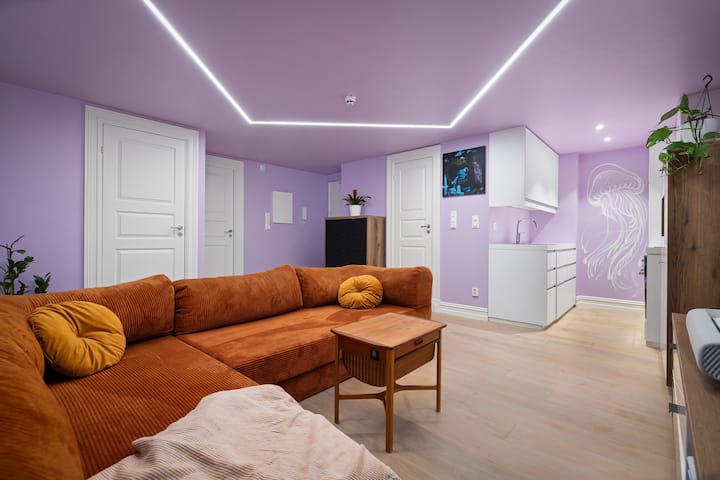 Unik Kjellerleilighet Med Projektor - Oslo