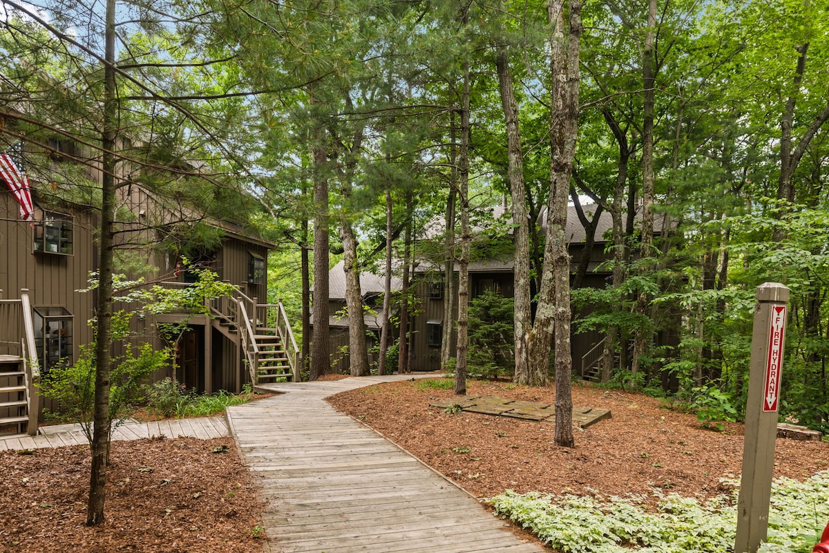 Hawk's Nest 47 at The Homestead Resort - Condominiums for Rent in