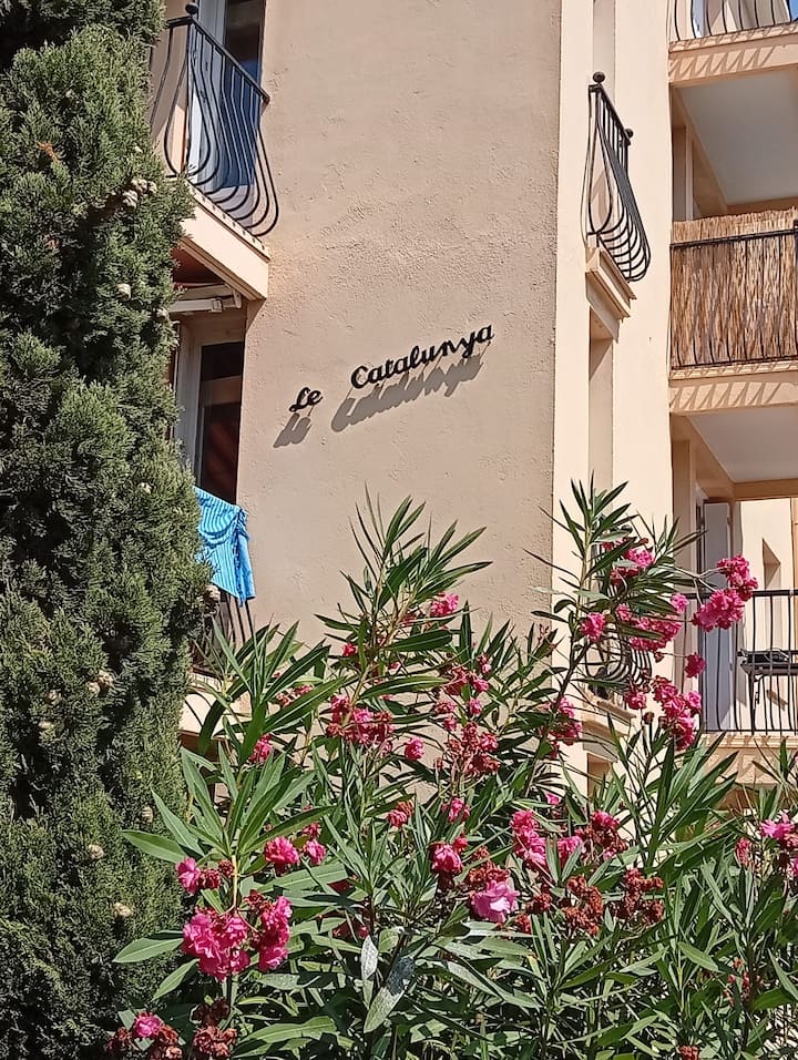 Appartement Bord De Mer Plages Nord Argelès - Collioure