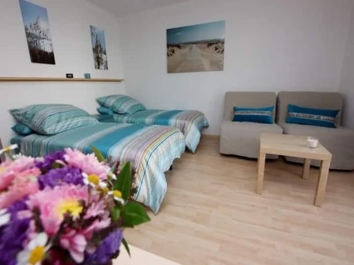 Ferienwohnung -1- - Fribourg-en-Brisgau