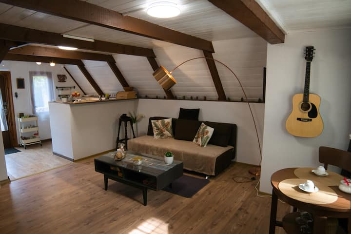 Paulanyi's Island - Heart Of Wood - Szentendre