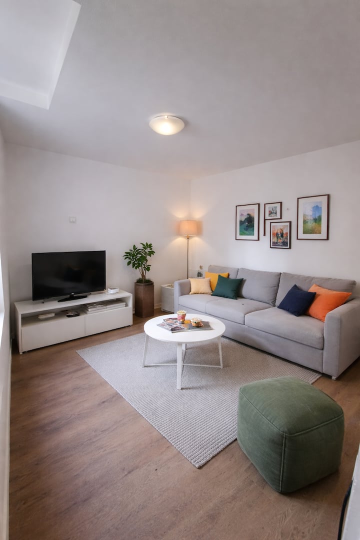 Gîte 3 Chambres Avec Terrasse Hypercentre Troyes - Ibis Troyes Centre