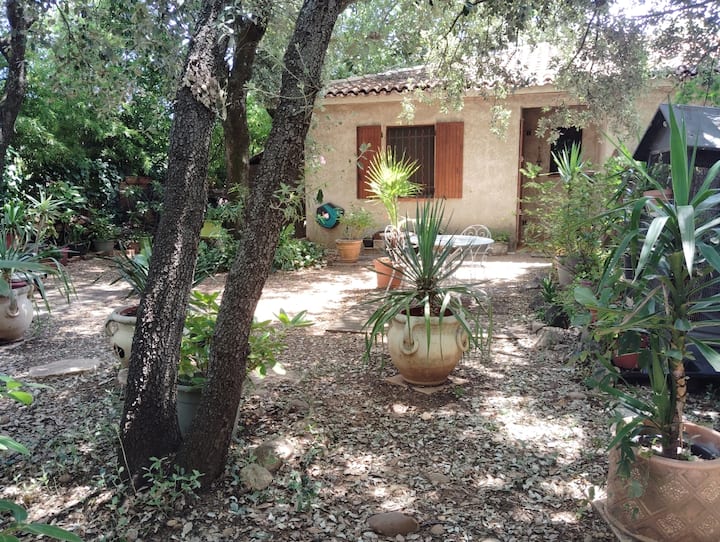 Studio Jardin Parking15mnavignonpontdugardbaignade - Rochefort-du-Gard