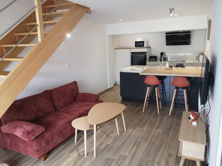 Studio Duplex Avec Terrasse - Bretagne