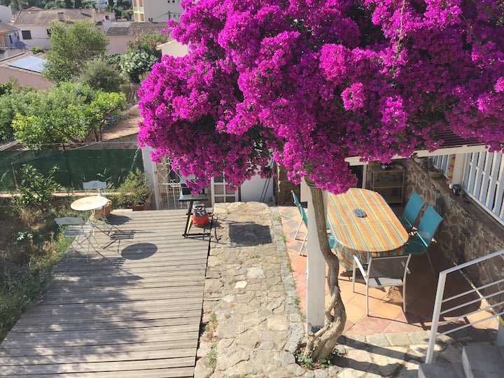 Appartement 2 Chambres, 100m Port Et Plage - Saint-Mandrier-sur-Mer