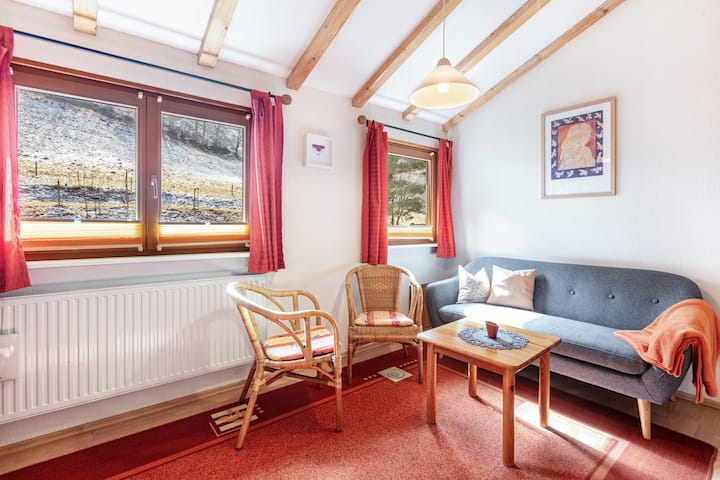 Ferienwohnung Zum Silberberg - Todtnau