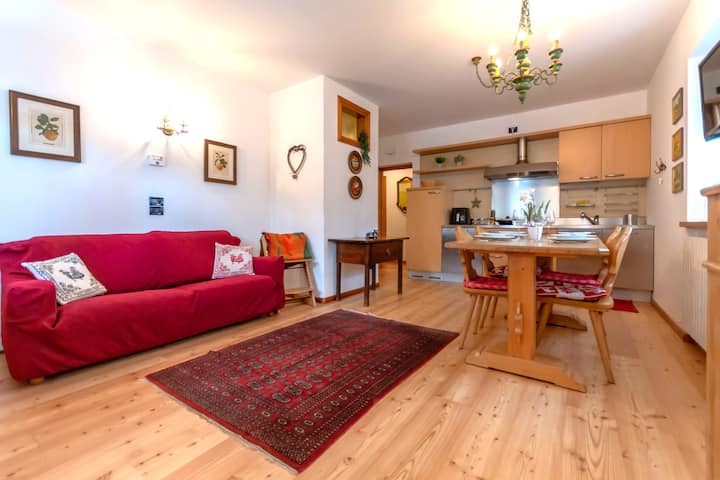 Woodstone Lodge - Falcade