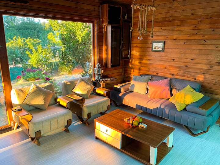 Doğanın Kalbinde Havuzlu Villa - Zonguldak