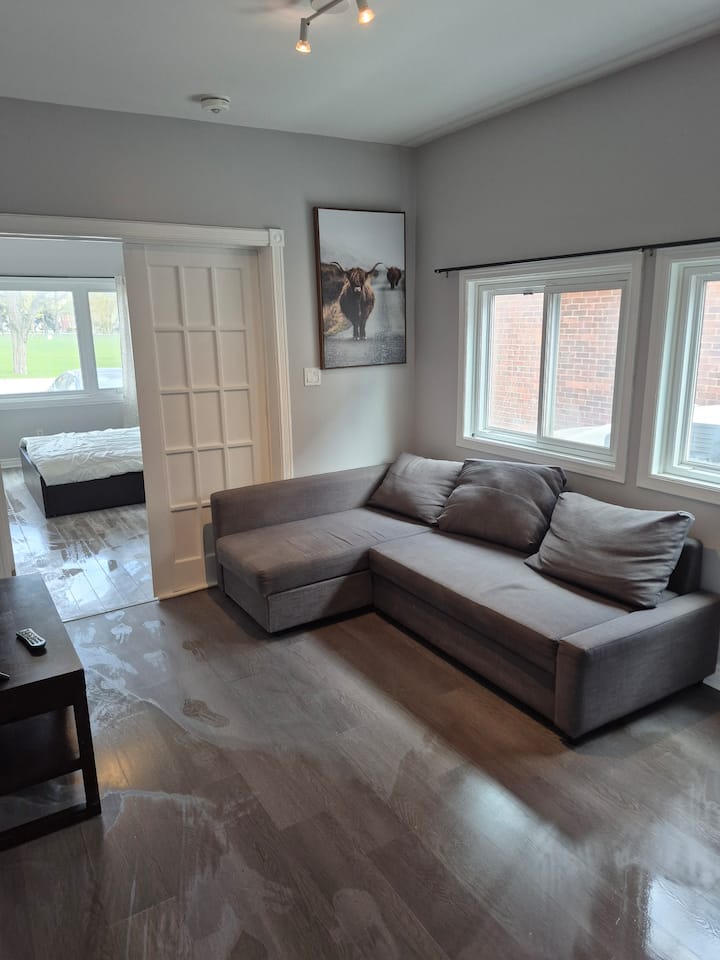 3 Bedrooms 2 Washrooms Downtown Barrie - Barrie