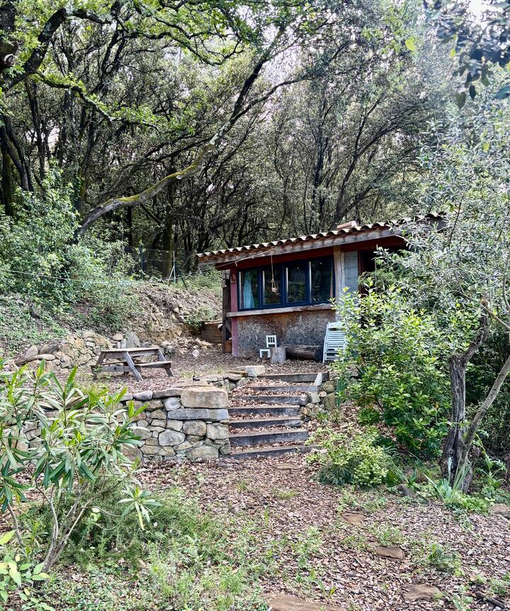 Dhomë gjumi 5