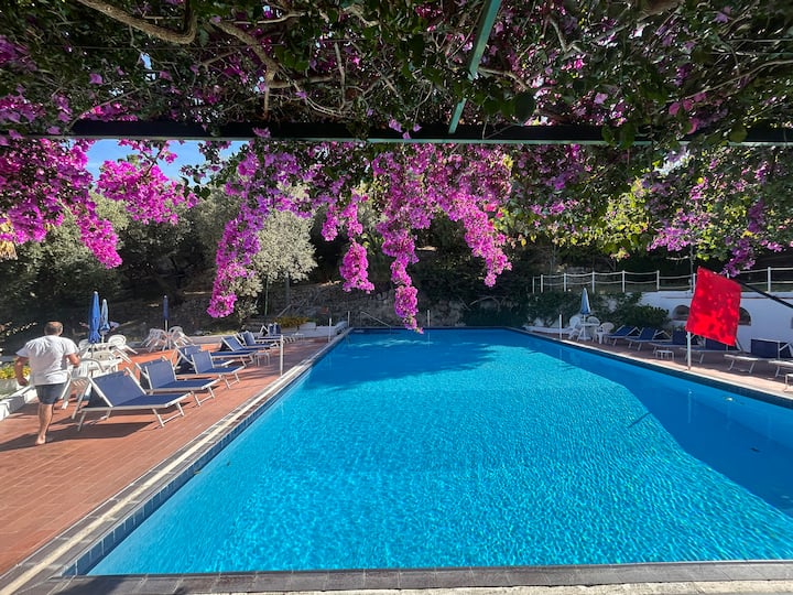 Graziosa Villetta In Delizioso Parco Privato - Sorrento