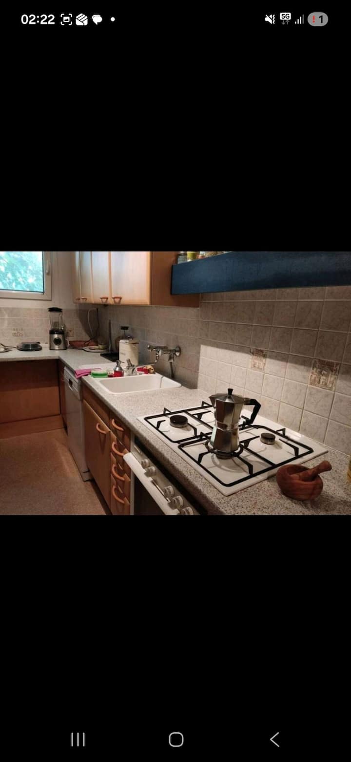 Room Near Danube River - Wien