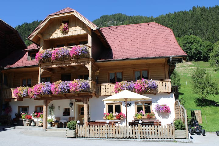 Apartment Lärche - Haus im Ennstal