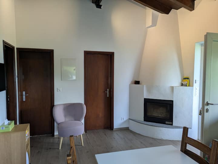 Coccinella - Perfect House For Remote Work And Fun - スイス