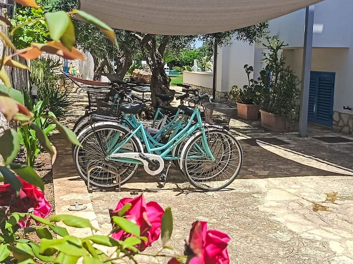 Studio 2 Pax Signorino Resort By Interhome - Marsala