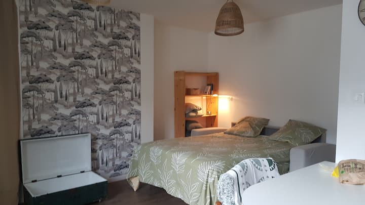 Appartement Hypercentre Le Mans - Le Mans