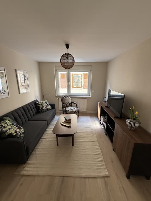 Popular Airbnb listing: Apartment Holger in Rüdesheim Am Rhein