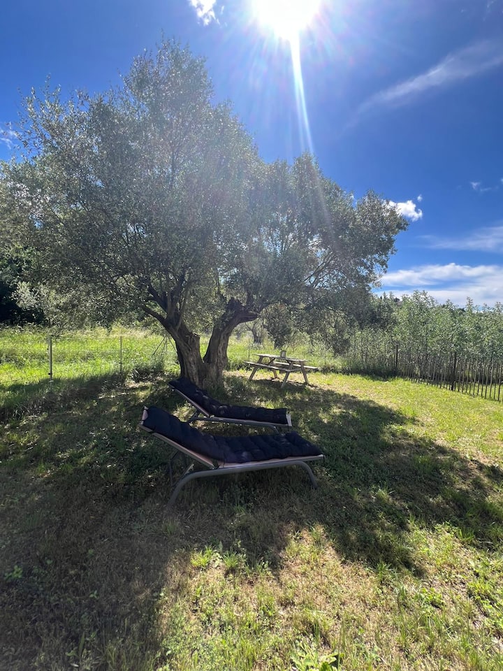 Cocon Familial Avec Jardin Dans Un éCrin De Nature - Fayence