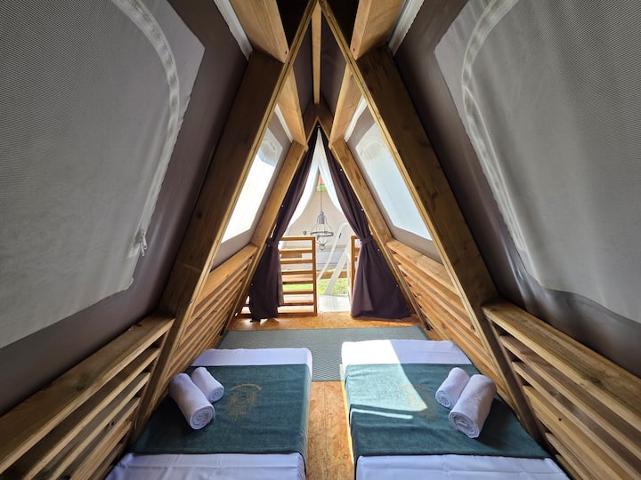 Habitación 1