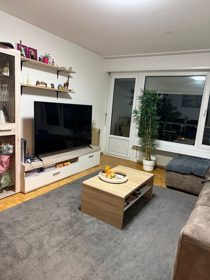 Nice Flat - Basel