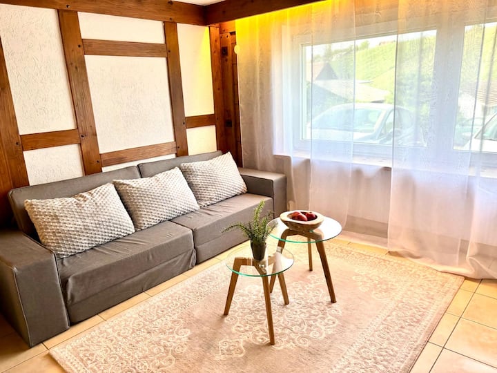 Apartment Meersburg /Nähe Konstanz - Meersburg