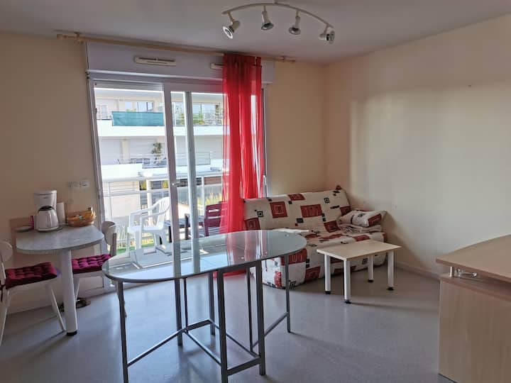 Studio 27m² Balcon 8m² Surplombant Un Plan D'eau. - La Rochelle