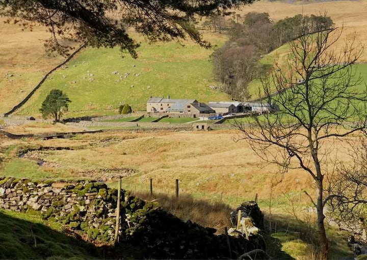 The Sheep Barn - Ingleton