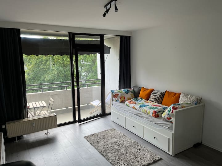 Charmante Work-in-progress-wohnung In Wiesbaden - Wiesbaden
