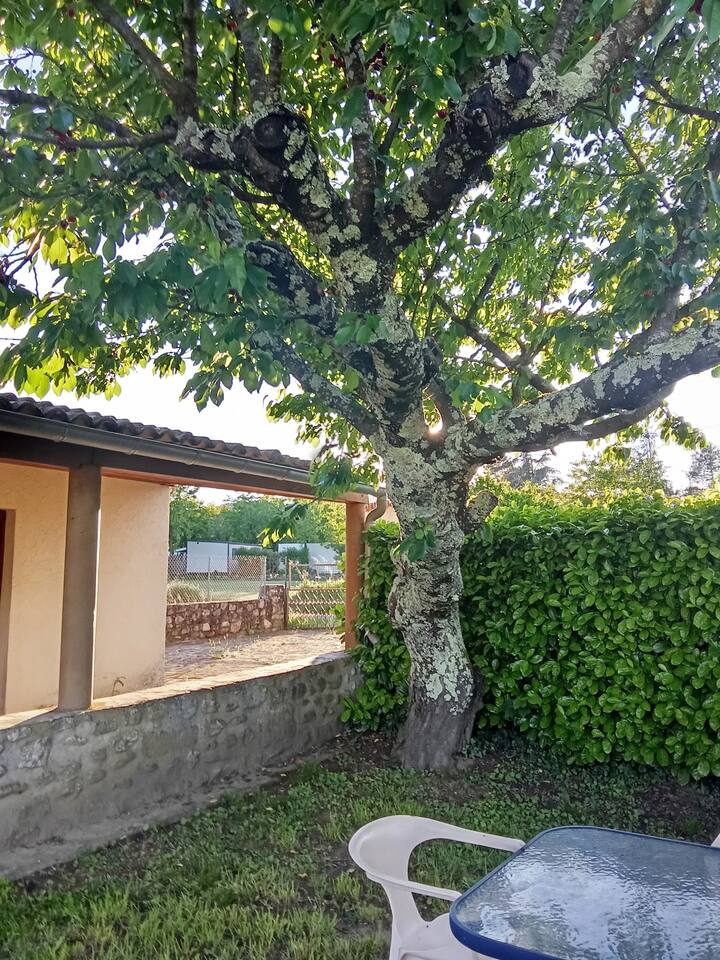 Petite Maisonnette Dans Les Vignes Ardéchoises - Joyeuse