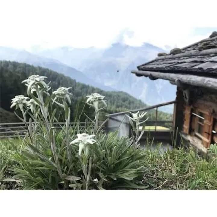 Neue Moderne 3.5 Zimmerwohnung In Meiringen - Meiringen