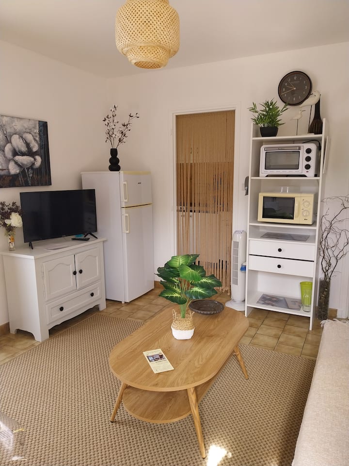 Appartement Palmiers 2 - Cazaubon